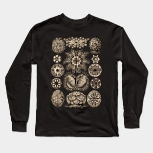 Ernst  Haeckel Ascidiae Sea Squirts  Wenge Long Sleeve T-Shirt